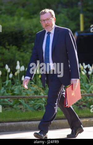 Londra, Regno Unito. Xxv Aprile, 2017. A Downing Street, Londra, 25 aprile 2017. Scozia Segretario David Mundell assiste il settimanale riunione del gabinetto al 10 di Downing Street a Londra. Credito: Credito: Paolo Davey/Alamy Live News Foto Stock