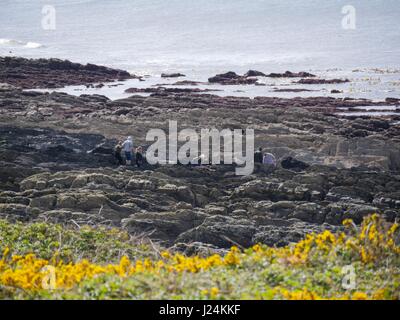 Punto larghi, Devon, Regno Unito. Xxv Aprile 2017. Le magie di sole al punto larghi vicino Croyde come persone di esplorare le rocce. Credito: DTNews/Alamy Live Foto Stock