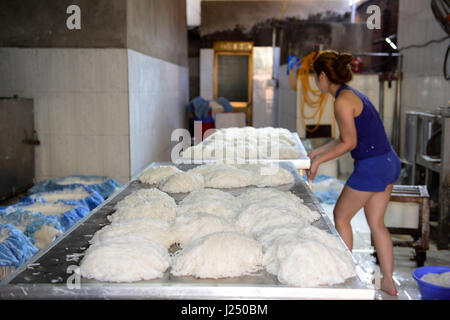 Preparazione della tradizionale vietnamita spaghetti di riso ( Bún ) in una piccola famiglia di proprietà di fabbrica in un piccolo villaggio nei pressi di Hanoi. Foto Stock