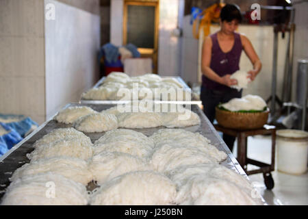 Preparazione della tradizionale vietnamita spaghetti di riso ( Bún ) in una piccola famiglia di proprietà di fabbrica in un piccolo villaggio nei pressi di Hanoi. Foto Stock