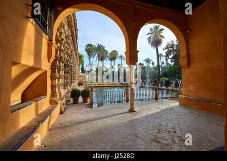 Palazzo reale (Real Alcazar) Sevilla, Andalusia, Spagna, Europa Foto Stock