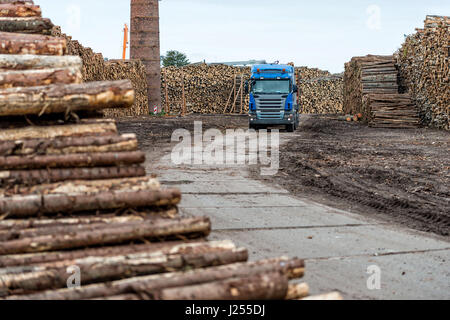 Riga, Lettonia - 25 Settembre 2016: il porto di Riga. Carrello Log in lista di attesa per lo scarico. Foto Stock