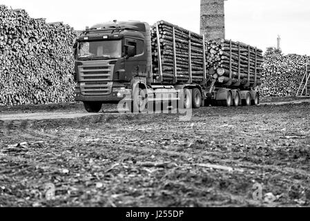 Riga, Lettonia - 25 Settembre 2016: il porto di Riga. Carrello Log in lista di attesa per lo scarico. Foto Stock