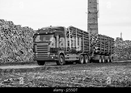 Riga, Lettonia - 25 Settembre 2016: il porto di Riga. Carrello Log in lista di attesa per lo scarico. Foto Stock