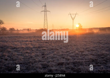 Linea ad alta tensione supporta alla mattina presto in campo il pupazzo di neve con erba vecchia fulgido di sunrise Foto Stock
