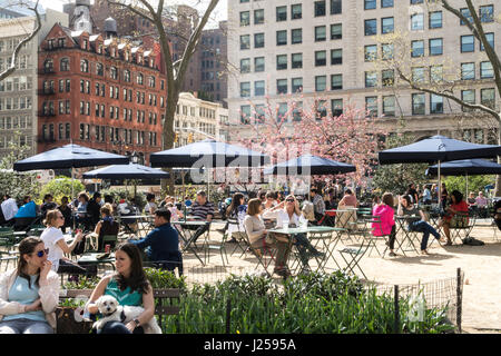 Madison Square Park in primavera, NYC, STATI UNITI D'AMERICA Foto Stock