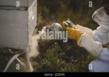 Immagine ritagliata di apicoltore femmina fumatori api in alveare a apiario Foto Stock