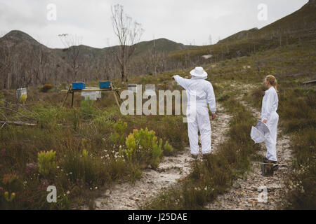 Maschio e femmina di apicoltori ispezione degli alveari sul campo Foto Stock