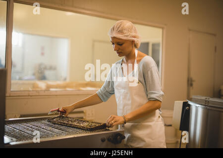 Apicoltore femmina lavorando sul miele impianto di estrazione nella fabbrica di apicoltura Foto Stock