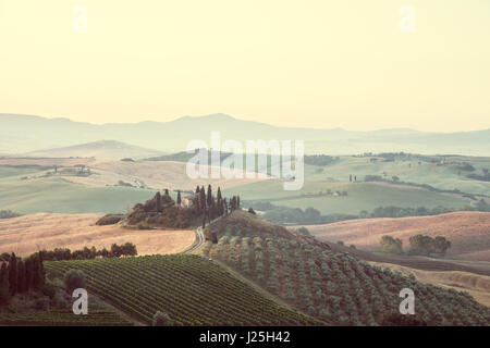 Visualizzazione classica di scenic paesaggio toscano con la famosa casa colonica in mezzo idilliache colline e valli in beautiful Golden. La luce del mattino al sorgere del sole Foto Stock