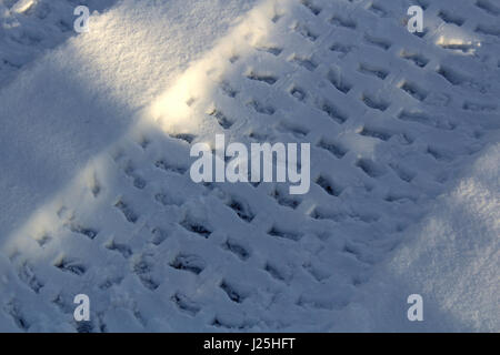 Quad tracce nella neve. Foto Stock