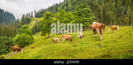 Bellissima vista di mucche al pascolo in alpino idillico paesaggio di montagna con alti picchi di montagna coperti in una mistica nebbia in estate, di Rosenlaui, Svizzera Foto Stock
