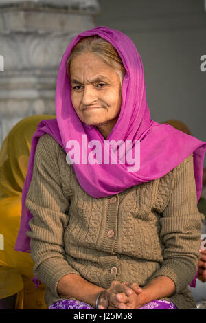 Ritratto, devota femmina, Sikh Tempio Dorato, Amritsar Punjab, India Foto Stock