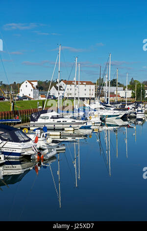 La marina, Woodbridge, Suffolk, Inghilterra, Regno Unito Foto Stock