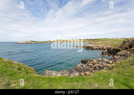 Baie rocciose vicino a Cemaes Bay in Anglesey, Galles del Nord Foto Stock