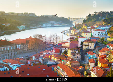 Vista del Porto storico e Arrabida bridge al tramonto. Portogallo Foto Stock