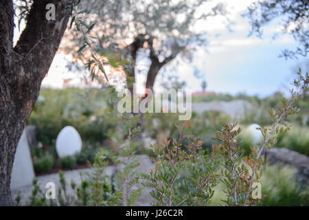 Giardino radicipura visualizza Foto Stock