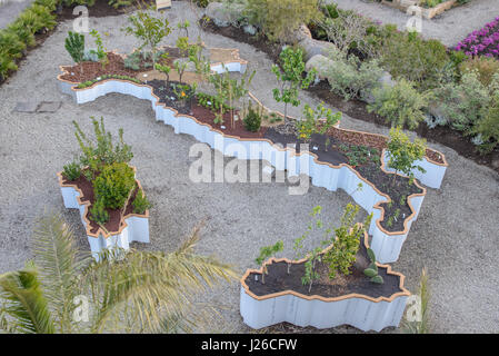 Giardino radicipura visualizza Foto Stock