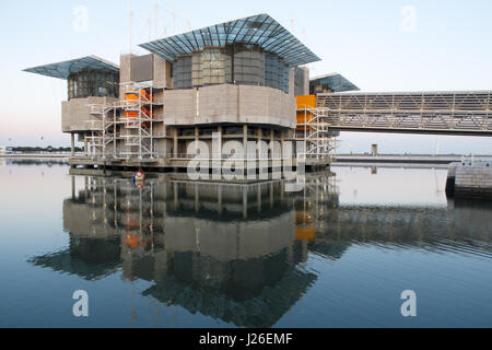 Oceanário de Lisboa - Lisbon Oceanarium - Lisbona, Portogallo, Europa Foto Stock