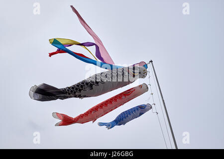 CARP STREAMERS, carpa banner, Chidren's Day, GIAPPONE Foto Stock