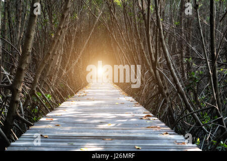 Tunnel di alberi, ponte di legno nella foresta di mangrovie al Porto di Laem Phak Bia, Phetchaburi, Thailandia Foto Stock