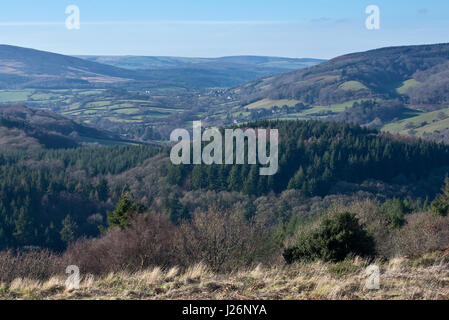 Vista guardando attraverso boschi e colline di Exmoor verso Dunkery Beacon da Gallax Hill nel Parco di Dunster nel Somerset, Inghilterra, Regno Unito Foto Stock