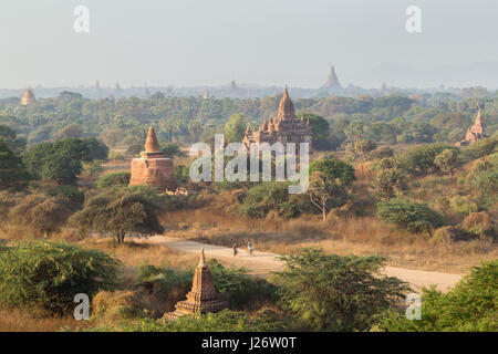 Vista panoramica di due ciclista e molti templi e pagode nella antica pianura di Bagan in Myanmar (Birmania), al mattino. Foto Stock