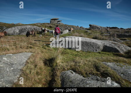 Walker avvicinando Showery tor,a Bodmin Moor,Cornwall,con i pony. Foto Stock