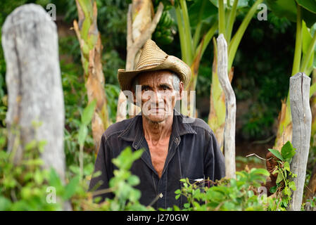 LAS CUEVAS DE SANTIAGO DE CUBA, CUBA - novembre 25: allevatore cubano relative alla coltivazione di alberi di banane nelle montagne della Sierra Maestra a Cuba Foto Stock