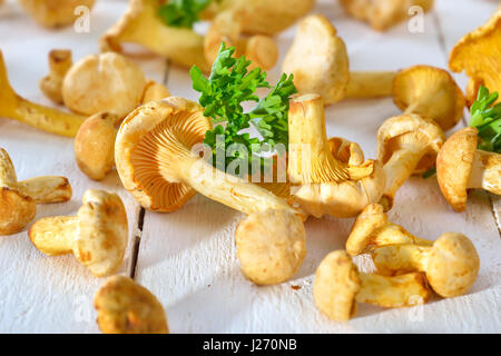 Finferli freschi con prezzemolo su un rustico tavolo bianco Foto Stock