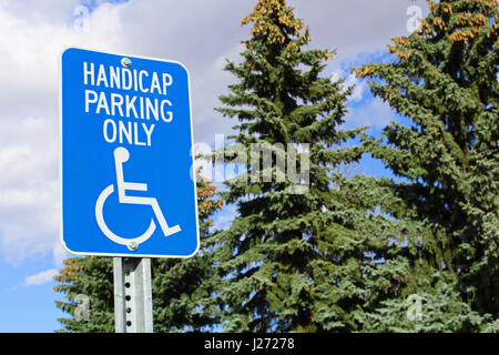 Handicap segno parcheggio con alberi in background. Foto Stock