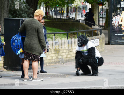 Una donna guarda al Metropolitan Police officer Tom Harrison, che va sotto il nome di Mr Gorilla in Bermondsey South East London, come egli è stato strisciando la maratona di Londra in un costume gorilla poiché la gara ha avuto inizio la domenica mattina. Foto Stock