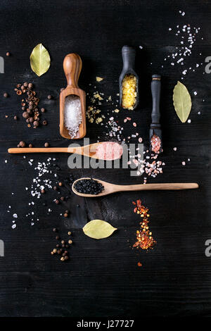 Varietà di diverse sale colorato zafferano giallo, rosa, nero himalayan, mare bianco e fleur de Sel in cucchiai di legno con il nero, il peperoncino, il pepe della Giamaica pepp Foto Stock