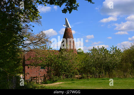 Oast House, Fronda faggio,Kent Foto Stock