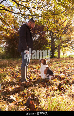 Giovane uomo che esercitano il cane nel Bosco in autunno Foto Stock