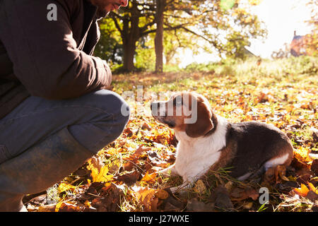 Giovane uomo che esercitano il cane nel Bosco in autunno Foto Stock