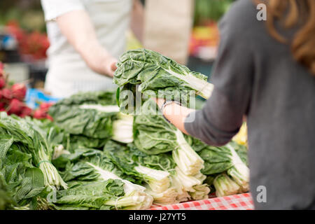 Close-up di fresca di mangold sul mercato Foto Stock