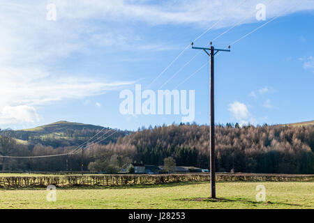 La fornitura di elettricità nelle campagne. Una utilità di legno pole con una linea di alimentazione in esecuzione su terreni agricoli rurale vicino a Offerton, Derbyshire, England, Regno Unito Foto Stock