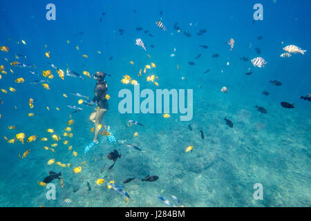 Donna di nuoto in mare Foto Stock