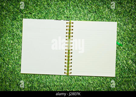 Spirale notebook in pelle di erba Foto Stock