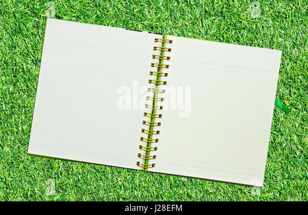 Spirale notebook in pelle di erba Foto Stock