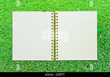 Spirale notebook in pelle di erba Foto Stock