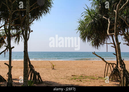 Sri Lanka, provincia occidentale, Kalutara, accesso alla spiaggia di Bentota Beach Foto Stock