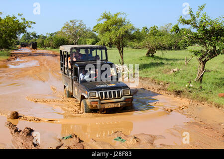 Sri Lanka, provincia sud, Tissamaharama, Yala National Park, Jeep Safari nel fango Foto Stock