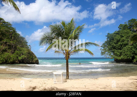 Giamaica, Port Antonio, Frenchmans Cove, Palm tree su di una piccola baia in Giamaica Foto Stock