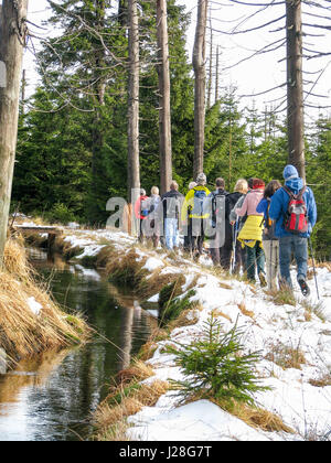 Germania, Bassa Sassonia, Sankt Andreasberg, escursionismo gruppo sul sentiero stretto vicino torrente in inverno nelle montagne Harz vicino a Sankt Andreasberg Foto Stock