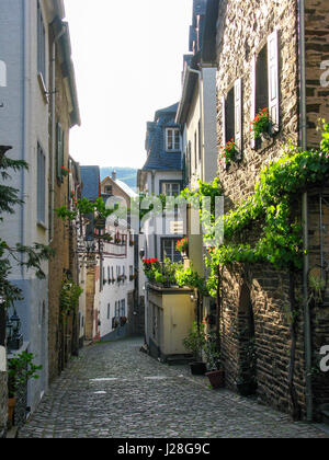 In Germania, in Renania Palatinato, Beilstein, vicoli in ciottoli con vigneti e case in pietra e tipiche case a graticcio in Beilstein sul Mosel ripido percorso Foto Stock