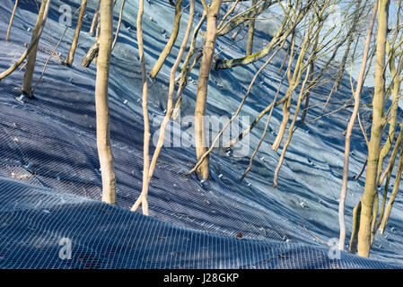 Pendio di montagna in metallo rinforzato maglia protettiva Foto Stock