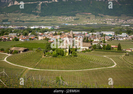 Caratteristico vigneto circolare nel Sud Tirolo, Egna, Bolzano, Italia sulla strada del vino. La viticoltura e la produzione di vino. Foto Stock