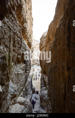 Giordania, Ma'an Gouvernement, Petra District, la leggendaria rock città di Petra, attrazione principale: "Tesoro casa del Faraone", patrimonio mondiale dell UNESCO Foto Stock